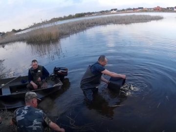 У Турію випустили 350 кілограмів коропа і білого амура 