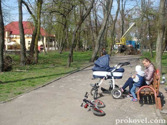 Влада оголосила війну ковельським воронам