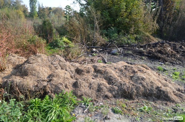 Дихати неможливо: лучани скаржаться на сміття та паліїв у центральному парку