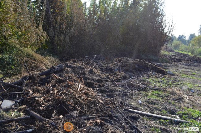 Дихати неможливо: лучани скаржаться на сміття та паліїв у центральному парку