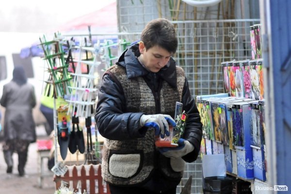 Центральний ринок. БУДНІ МІСТА