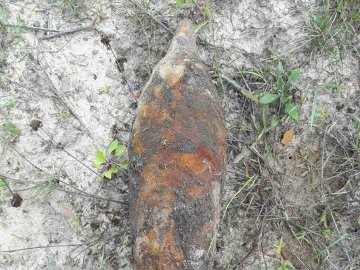 На Волині селяни знайшли боєприпаси часів Другої Світової