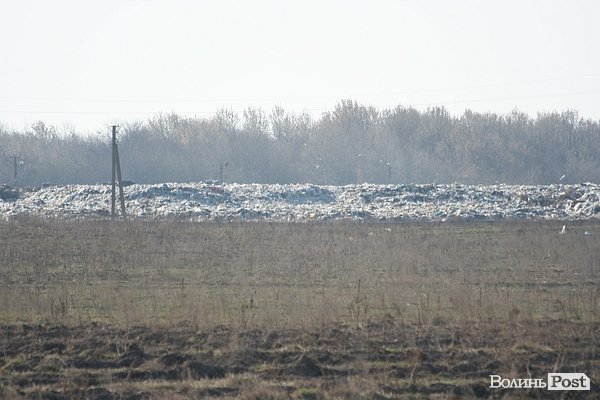 Луцьке сміттєзвалище посадовці обсаджують лісом. ФОТО. ВІДЕО