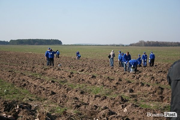 Луцьке сміттєзвалище посадовці обсаджують лісом. ФОТО. ВІДЕО