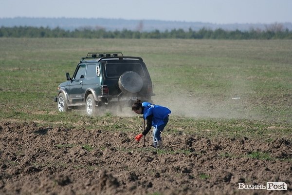 Луцьке сміттєзвалище посадовці обсаджують лісом. ФОТО. ВІДЕО