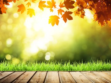 Синоптик розповіла, якою буде погода на Покрову