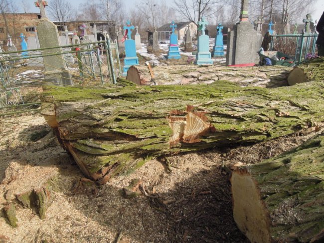 Староста організував впорядкування сільського кладовища у громаді на Волині. ФОТО