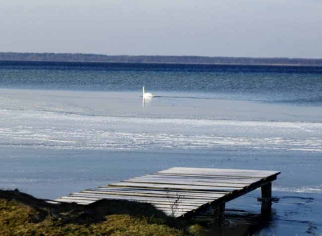 Опублікували зимові світлини мальовничого Світязю. ФОТО