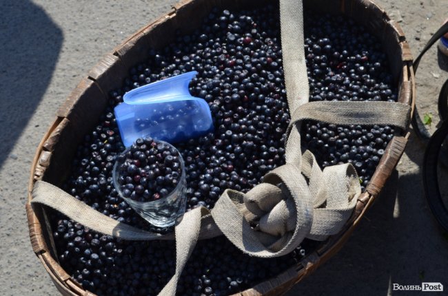 Від і до: скільки коштують перші чорниці та суниці на ринку у Луцьку