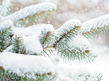 Погода у Волинській області на завтра, 10 грудня