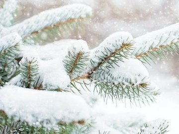 Погода у Волинській області на завтра, 10 грудня