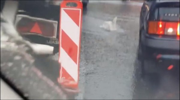 У Львові вантажівка провалилася під новий асфальт. ФОТО. ВІДЕО