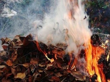 «Спалювання листя і трави – дуже небезпечне для здоров'я», – волинські медики. ВІДЕО