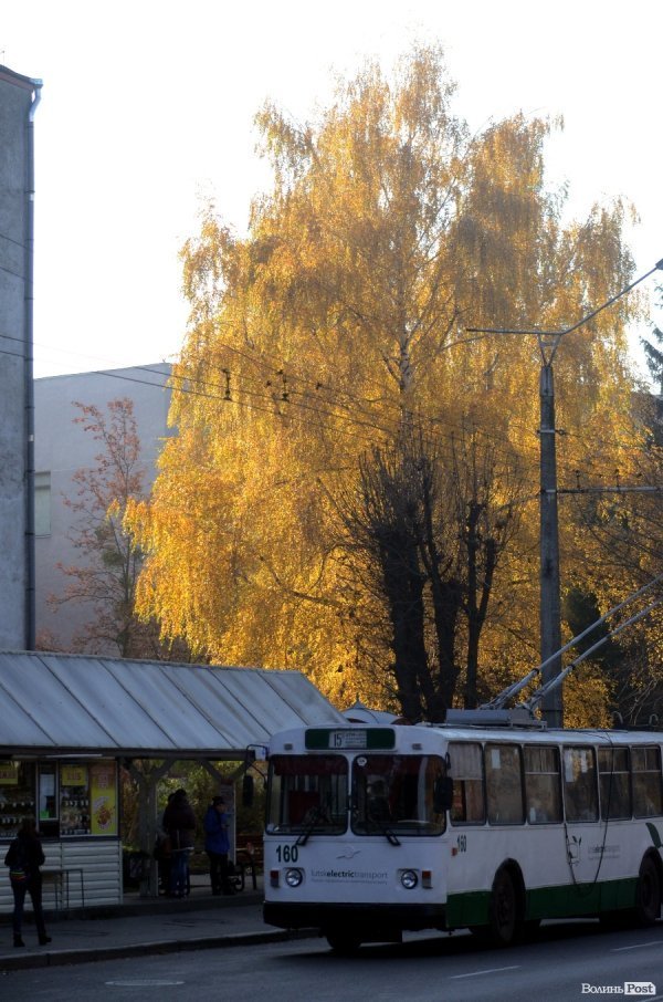 Фотопогляд: проспект Перемоги