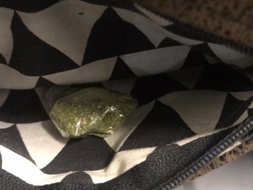 На «Ягодині» в пасажира рейсового автобуса виявили наркотики. ФОТО