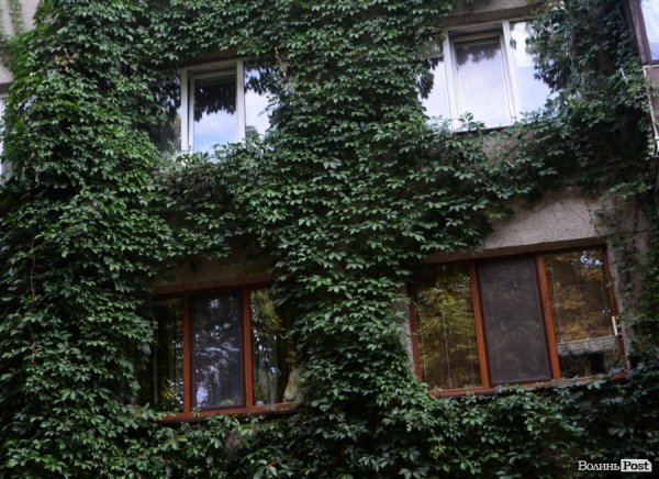 Фотопогляд: вулиця Шопена 