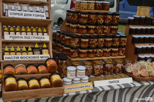 «Квітка, як і людина, має душу». На Волині розпочався фестиваль тюльпанів. ФОТО