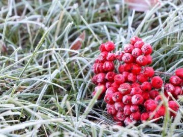 Осінь набирає обертів: на Україну сунуть заморозки і мокрий сніг