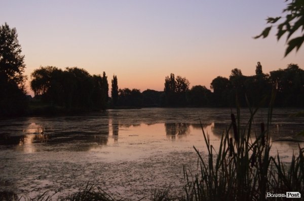 Навіть заболочений і брудний став зранку набирається чарівності