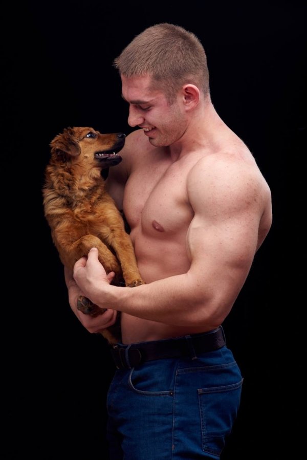 Шарлотка. Вже другий місяць у нас. Отримала всі щеплення і ветпаспорт. Дуже добродушна собака, яку б'ють усі коти( Жодного бажаючого взяти до себе...