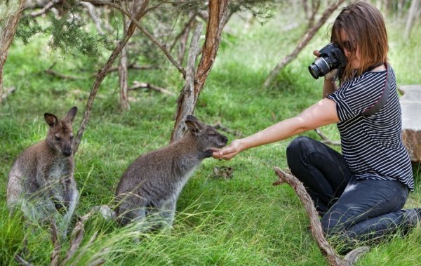 Взаємний інтерес