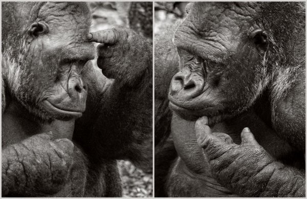 Є про що задуматися