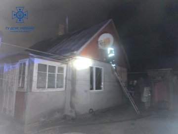 У Луцьку з пожежі врятували 5 цуценят. ФОТО