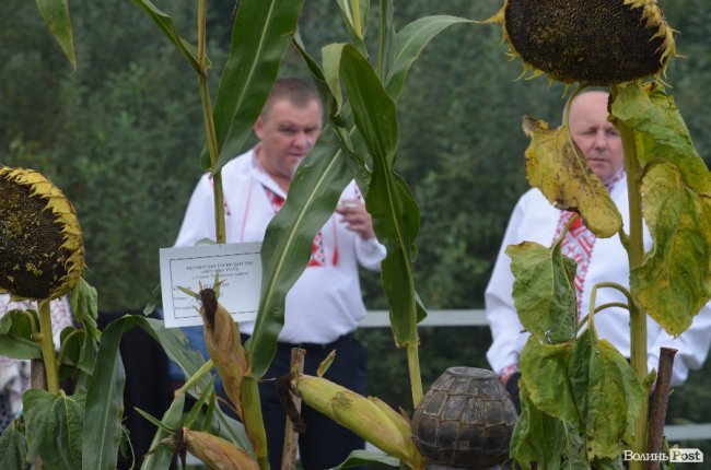 Урожай, частування та співи: у Луцьку святкують «Обжинки»
