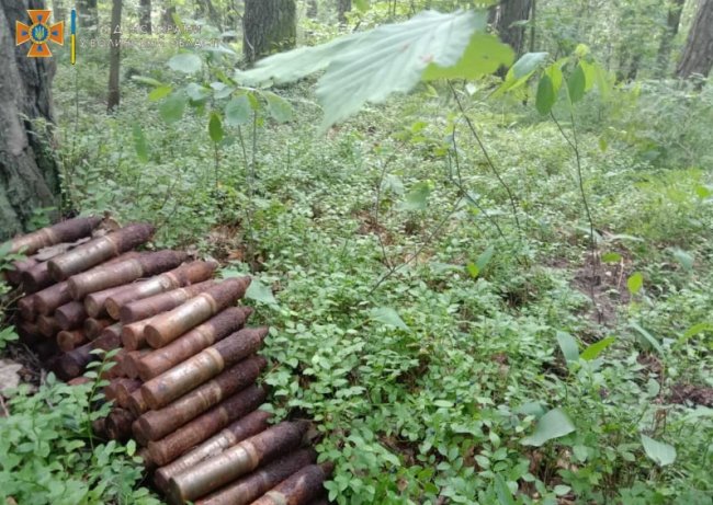 Під час збирання чорниць у лісі волиняни натрапили на небезпечні знахідки