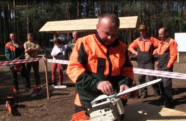 На Волині пройшли змагання вальників лісу. ФОТО