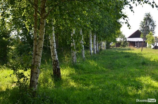 Відпочинок під Луцьком. Боголюби. ФОТО