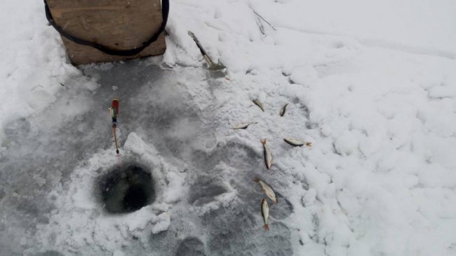 Зимова рибалка на Шацьких озерах. ФОТО