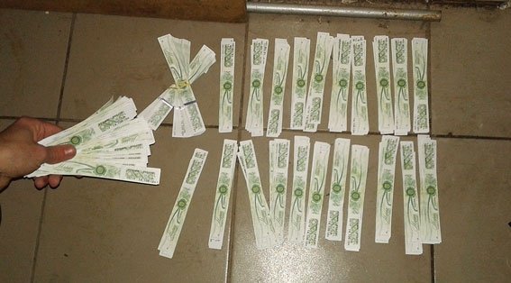 На Волині ліквідували підпільну гуральню з потужностями на півмільйона гривень. ФОТО