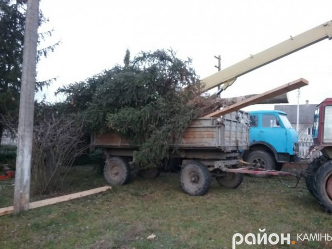 У місті на Волині встановили новорічну ялинку