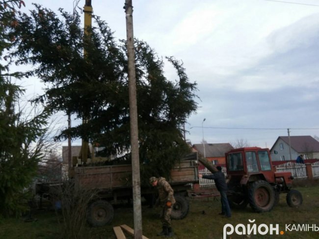 У місті на Волині встановили новорічну ялинку