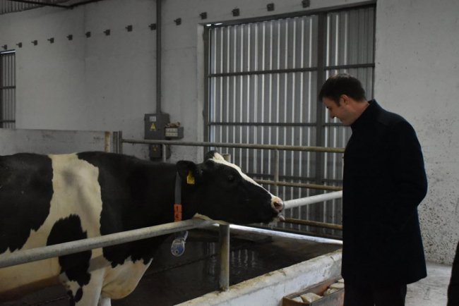 У селі на Волині збудували молочний комплекс за європейськими технологіями. ФОТО