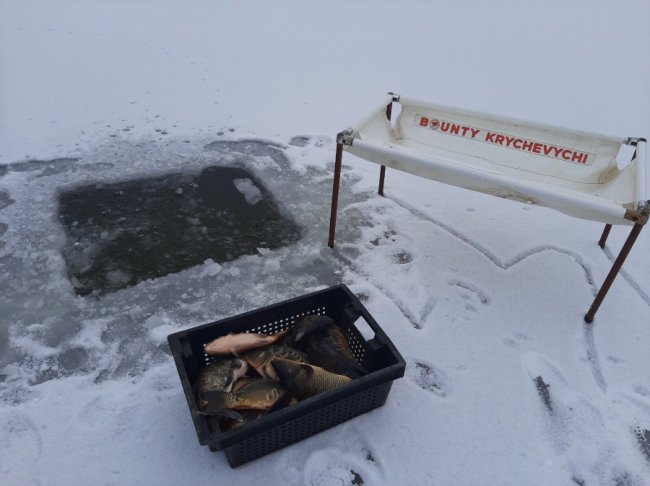 На Волині до водосховища вселили понад 2 тонни цінних видів риб. ФОТО