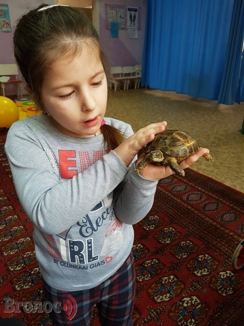 Волинську малечу лікують тварини