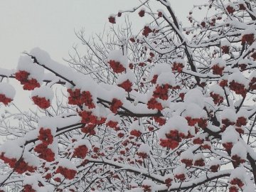 Флешмоб від лучан: покажи свою зиму