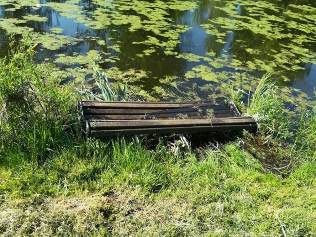 «Генетичне сміття»: у луцькому парку «попрацювали» вандали. ФОТО