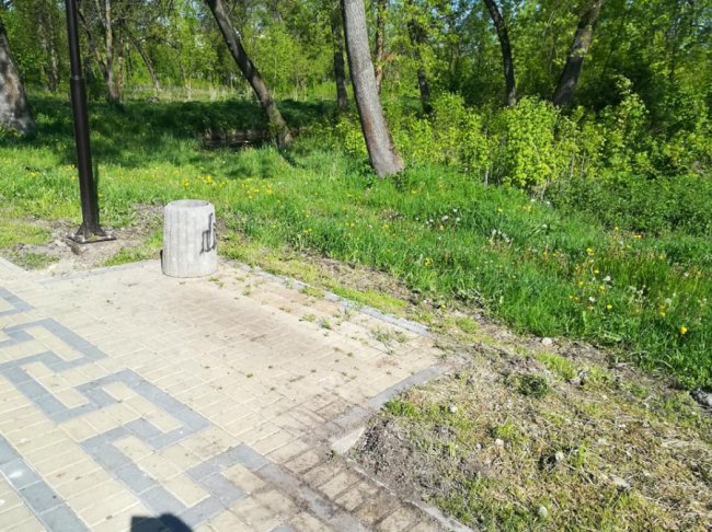 «Генетичне сміття»: у луцькому парку «попрацювали» вандали. ФОТО