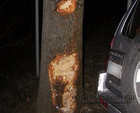 У Ковелі автівка врізалась у дерево. ФОТО