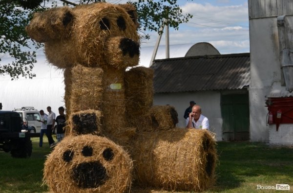 День поля 2015  -  семінар аграріїв, який організовано групою підприємств ТМ «ВІЛІЯ».* ФОТО