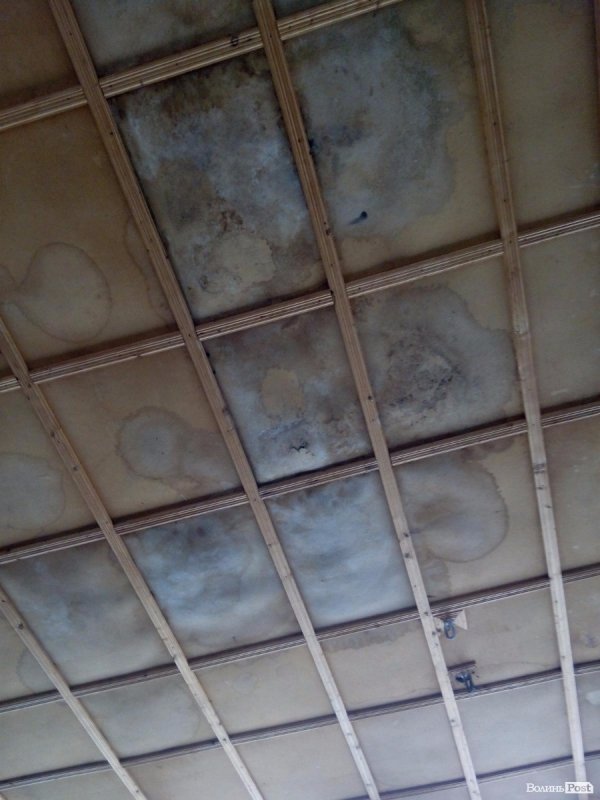 Гузь відкривав майданчики в окрузі попри снігопади*