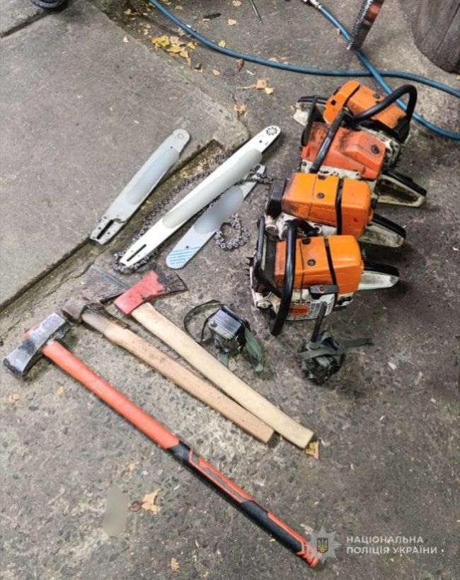 На Волині троє чоловіків вирубували ліс та продавали його