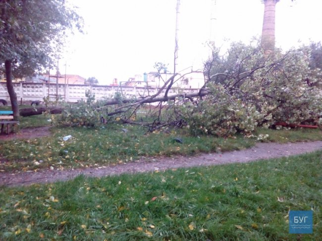 Через буревій у Нововолинську знеструмлені вулиці та повалені дерева