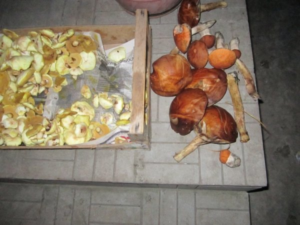 Грибник із Волині заробляє по 12 тисяч в сезон. ФОТО