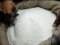 На ринках України подешевшали рис і цукор