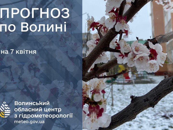 Погода в Луцьку та Волинській області на завтра, 7 квітня