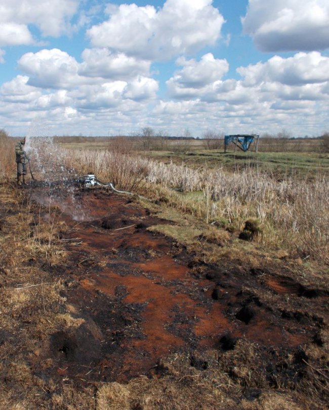У Ковельському районі горіли торфовища. ФОТО